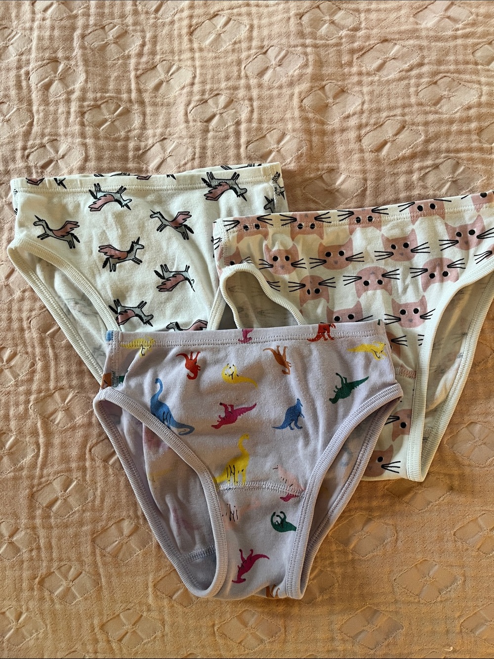 Hanna Andersson undies M
